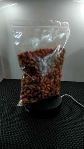 KACANG BAWANG PEDAS BALI SUPER 1kg ENAK GURIH RENYAH PEDAS