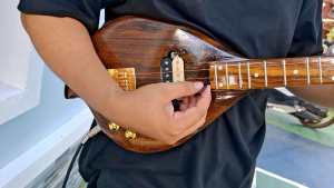 พิณไฟฟ้า ไม้เนื้อดำ (ลายไม้สวยๆ เล่นง่าย สายไม่สูง)