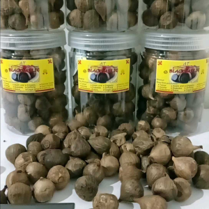 Black Garlic Bawang Tunggal Oven 250 Gram Free Kardus Packing Baru