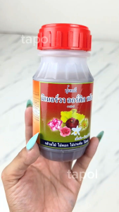 ปุ๋ยกล้วยไม้ มิเนอร์วา ออร์คิด พลัส ช่วยบำรุง เพิ่มช่อ บำรุงต้นใบ ขั้วดอกเหนียว ให้ดอกสีสด สีชัด