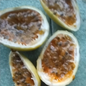buah markisa atau saprola selagi  promo 1 kg  buat orang yang ngidam