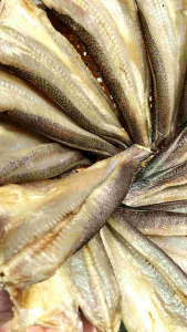 Khô cá lóc cửng (non) nguyên con