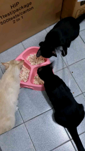 ไก่เต๋า อกไก่ฟรีชดราย ขนมแมว ขนมสุนัข