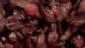 แครนเบอร์รี่ เกรด AAA ผลิตสดใหม่ เกรดพรีเมี่ยม (ขนาด100g/200g/500g/1kg)