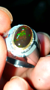 Top Jarong Bahan Alami Kalimaya Asli Banten