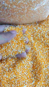 Jual Promo Beras Jagung Baru 1 Kg