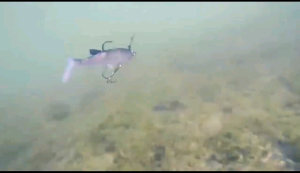 Fishing Soft Tackle 13g/8.5cm Casting Lure Bait Umpan Pancing Tiruan Gewang Belanak