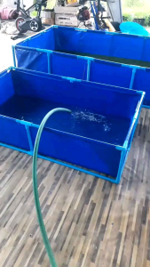 กระชังบกบ่อผ้าใบ PE Super ขนาด 1x2x0.5 ราคาไม่รวมโครง