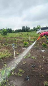 Vòi tưới phân tưới gốc dùng cho máy nén hiệu quả cao cho cây ăn trái tiện dụng cho bà con nông dân hiệu quả cao quả