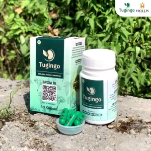 TUGINGO - Obat herbal Batu Ginjal Paling Ampuh Atasi Infeksi Saluran Kemih Penyakit Ginjal