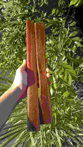 ด้ามค้อนไม้มะค่า แกนไม้มะค่า ยาว38-40cm แข็ง ทน ทาน 💪🔨⚙️🗿