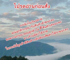 รองเท้าDZWE รองเท้าแตะแฟชั่นส้นตึก ด้านหน้าผ้าทอสกรีนลาย รองเท้ายอดนิยม ส้นสูง5.5เซนพ