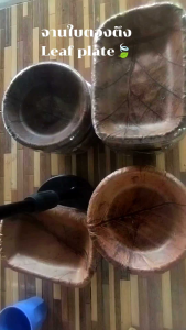 Leaf plate จานใบไม้(ใบตองตึง) 1 แพ็ค มี 20/10/5 ชิ้น