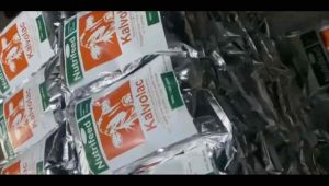 KALVOLAC PAKET 10KG/1DUS - SUSU PENGGANTI INDUK CEMPE/PEDET/UNGGAS/KUCING DLL
