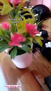 Sanggul Bali Panjang Modern: Panduan Lengkap