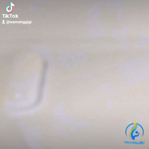 Travel Case Sikat Gigi Elektrik / Tempat Sikat Gigi Sikat Gigi Elektrik