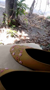 sepatu wanita import size 38