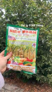 Hạ Phèn Ra Rễ Ra Hoa Đậu Hạt Siêu Humic