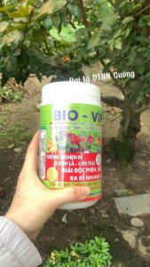 Siêu Ra Rễ Ra Hoa Nặng Trái Dưỡng Cây Bio Vip