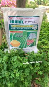 Ra Rễ Chắc Hạt Nặng Ký Humic Powder