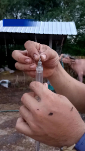 ไซริงค์สำหรับทำวัคซีน