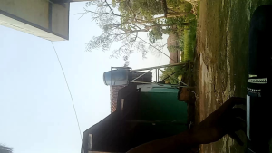 Golok Tebas Bambu Kupas Kelapa Super Tajam Asli Baja