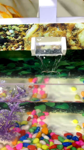Aquarium Mini Aestetic Fullset Lengkap Tinggal Isi Air Siap Pake