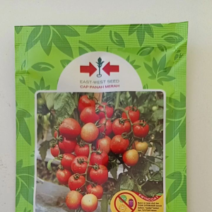 Benih Tomat Gustavi F1 1.750 Butir Cap Panah Merah