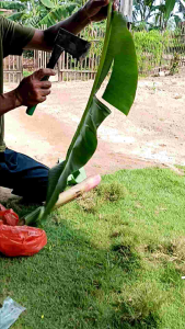 kampak tulang baja per berkualitas tinggi