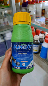 Kuproxat 345 SC: Fungisida & Bakterisida Pengendali Penyakit