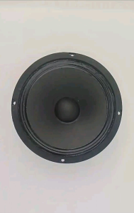 loa Trung 16 cm sườn bích