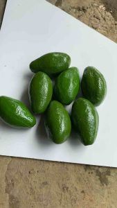 Replika buah alpukat 1pcs / Replika buah buahan / dummy sayuran / Mainan anak