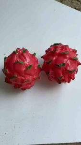 Replika Buah Naga (1pcs) / dummy buah / mainan anak / edukasi anak / dekorasi meja makan