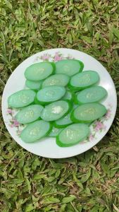 Replika Irisan Timun: Dekorasi Meja Makan & Mainan Anak