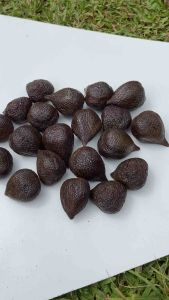 Replika buah salak / Mainan anak / Edukasi anak / Dekorasi meja makan