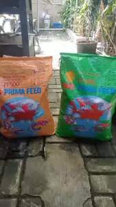 Pelet Ikan Lele Pelet Ikan Nila Kecil Protein Tinggi Cepat Besar PF 800 781 500 ML