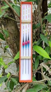 Phao điện câu đài ngày đêm cảm ứng đổi màu