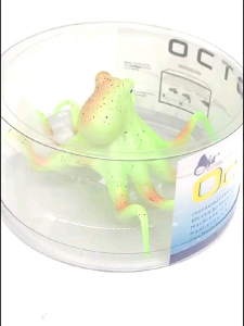 Hiasan Aquarium Cumi-Cumi & Octopus: Dekorasi Aquascape Unik