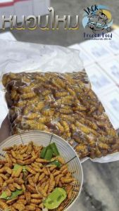 หนอนไหม ดักแด้ไหม 500g | หนอนไหมสด หนอนไหมทอดกรอบ 🐛🔥 แพ็คโฟมจัดส่งทั่วไทย