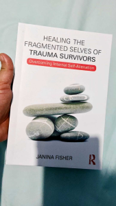 Healing the Fragmented Selves of Trauma Survivors: Overcoming Internal Self-Alienation - Paperback
