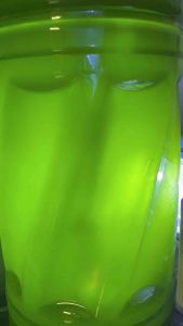 Algae Green Water starter culture - Aquarium Algae Scenedesmus chlorella spirulina daphnia boon fairy shrimp brine shrimp Seeds Probiotics Amazon Planter Amazon - Lazada