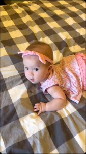 Set 3 quần chip mặc váy siêu xinh hiệu Bunny cho bé 3-12kg