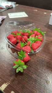 [10 PCS] 600 ML Clear Plastic Heart Fruit Container