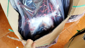 SANGKAR/KANDANG PERKUTUT MAHKOTA METALIC MERAK MARMER - HANOMAN