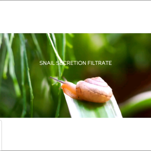 LAIKOU 100ml Snail Extract Face Toner Natural Pore Shrinking Soothe Balance Repair Skin Care