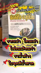 ฟอสอีทิล-อะลูมิเนียม 80%WP  ป้องกันเชื้อราในพืชและทุเรียน