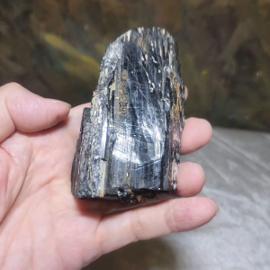 231g Raw Black Tourmaline with some silvery Mica co-growth very reflective surface handheld decor display