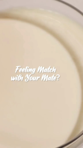 HANASUI MATCHA LATTE EDITION: Lip Cream Matte Untuk Bibir Kering