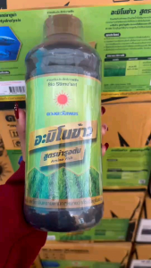 ปุ๋ยน้ำ อะมิโนข้าว สูตรบำรุงต้น ช่วยแตกกอ ใบเขียว ใบสมบูรณ์ ขนาด 1 ลิตร ดวงตะวันเพชร ข้าวแตกใบเขียว ใบตั้ง ช่วยฟื้นฟูปรับสภาพดินให้ร่วนซุย