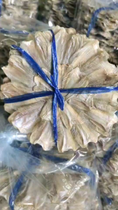 ปลากระดี่ (1 วง) ตากแห้ง 100% - ปลากระดี่วง: ขนาดตัวปลามีไซร์เล็ก+ใหญ่ สด, สะอาด, รสชาติไม่เค็มมากทอดทานกับข้าวร้อนๆ